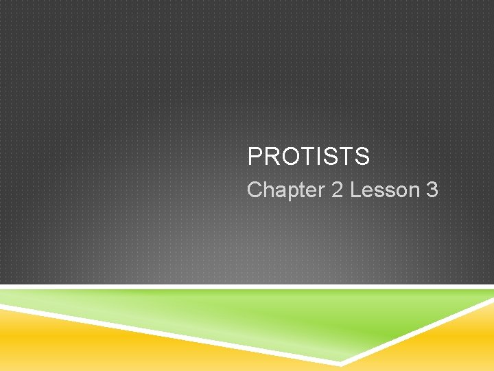 PROTISTS Chapter 2 Lesson 3 