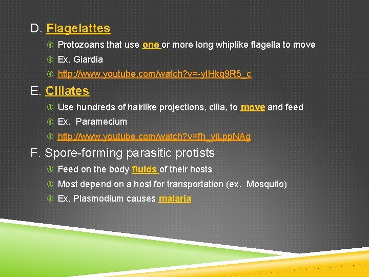 D. Flagelattes Protozoans that use one or more long whiplike flagella to move Ex.
