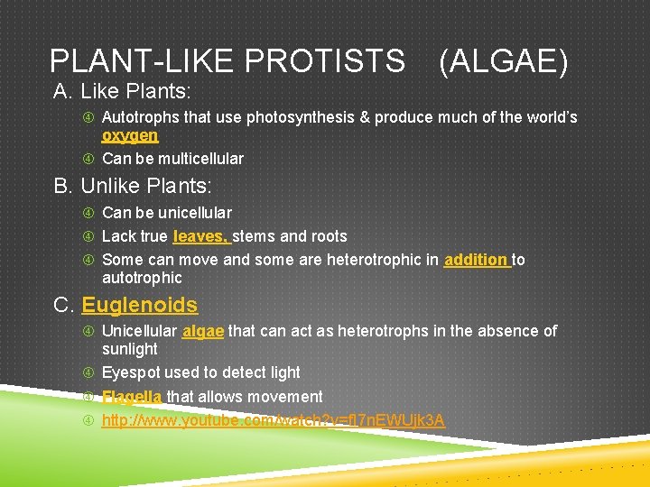 PLANT-LIKE PROTISTS A. Like Plants: (ALGAE) Autotrophs that use photosynthesis & produce much of