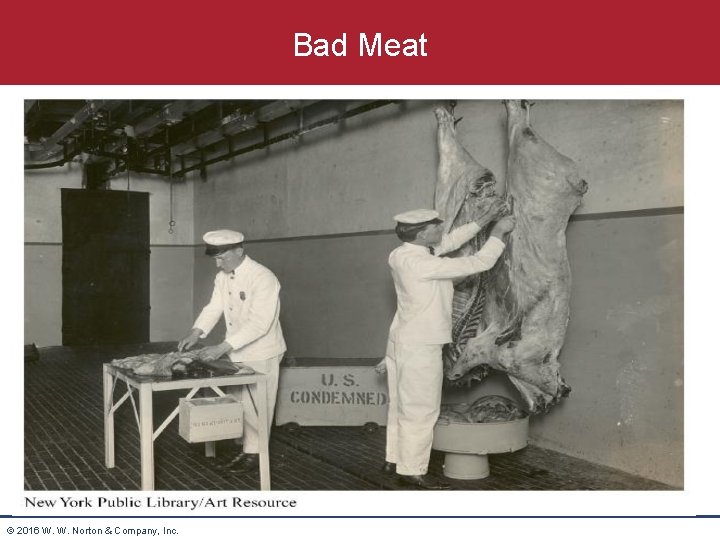 Bad Meat © 2016 W. W. Norton & Company, Inc. 