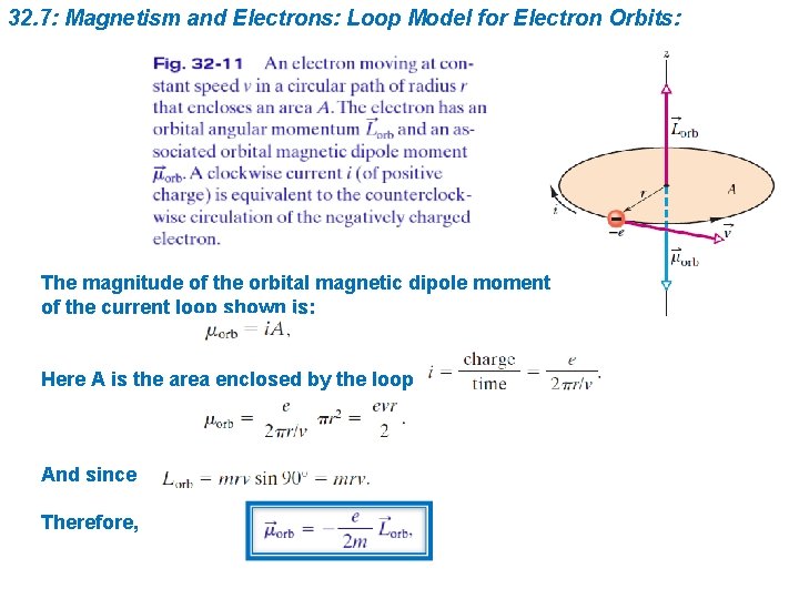 32. 7: Magnetism and Electrons: Loop Model for Electron Orbits: The magnitude of the