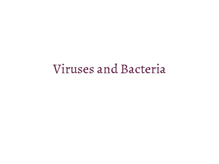 Viruses and Bacteria 