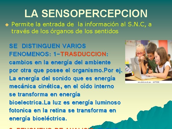 LA SENSOPERCEPCION u Permite la entrada de la información al S. N. C, a