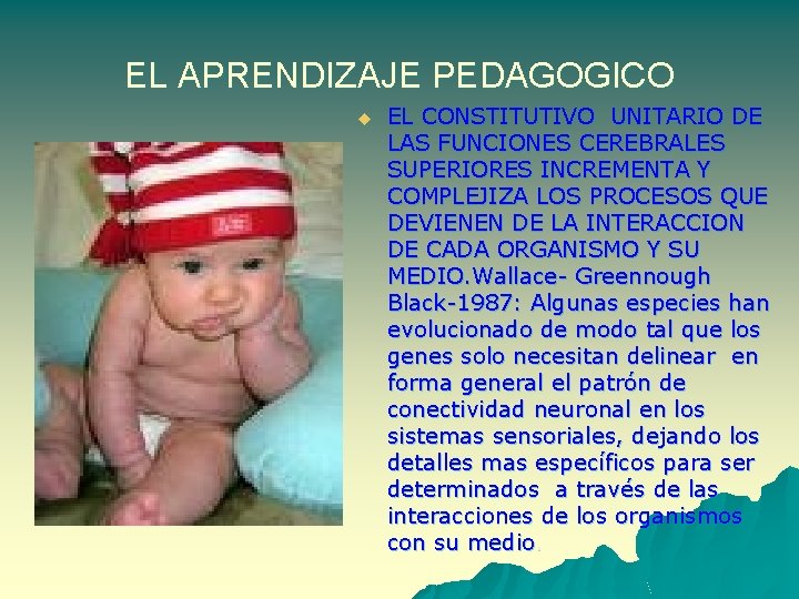 EL APRENDIZAJE PEDAGOGICO u EL CONSTITUTIVO UNITARIO DE LAS FUNCIONES CEREBRALES SUPERIORES INCREMENTA Y