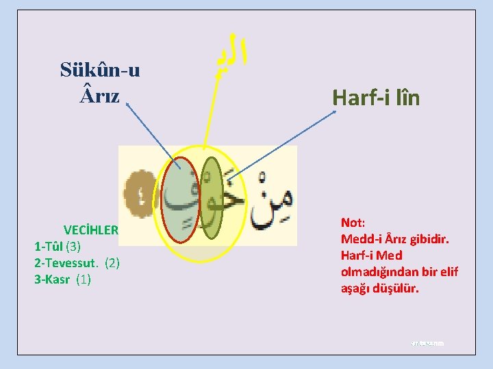 Sükûn-u rız VECİHLER 1 -Tûl (3) 2 -Tevessut. (2) 3 -Kasr (1) ﺍﻟﻳ Harf-i