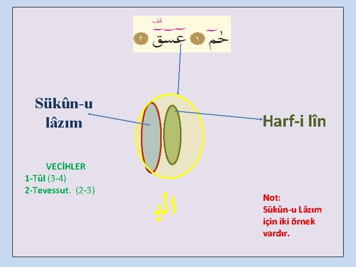 Sükûn-u lâzım VECİHLER 1 -Tûl (3 -4) 2 -Tevessut. (2 -3) Harf-i lîn ﺍﻟﻳ