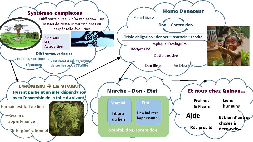 Homo Donateur Systèmes complexes Marcel Mauss Différents niveaux d’organisation – un réseau de réseaux