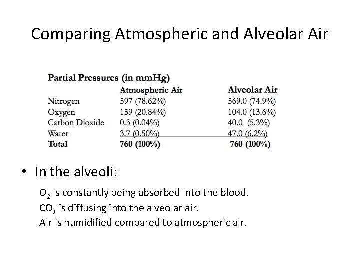 Comparing Atmospheric and Alveolar Air • In the alveoli: O 2 is constantly being