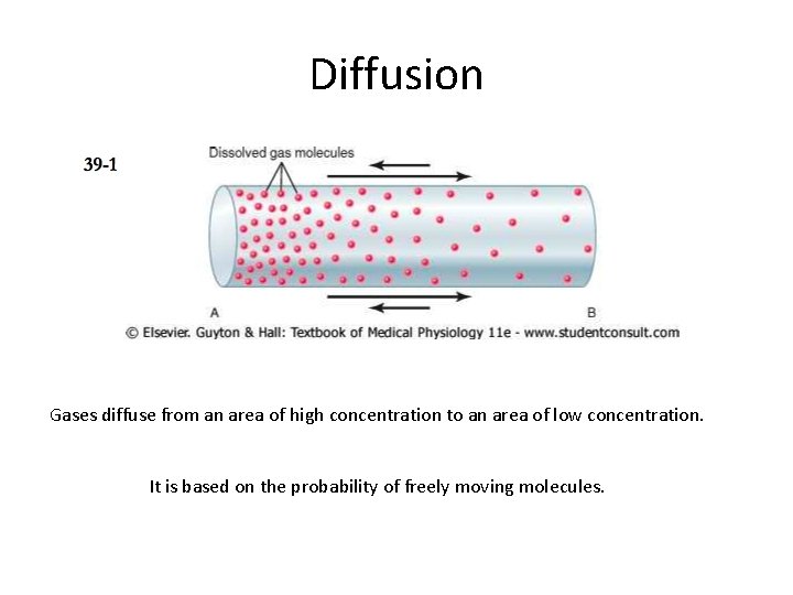 Diffusion Gases diffuse from an area of high concentration to an area of low