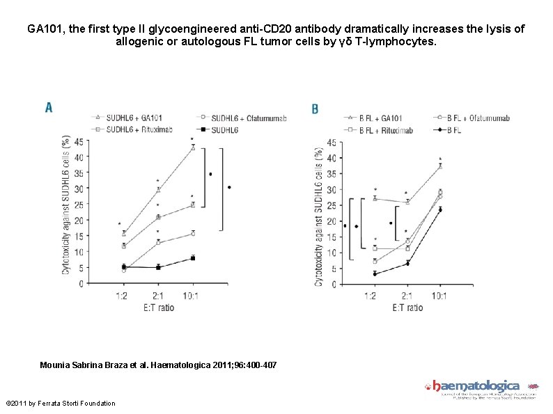 GA 101, the first type II glycoengineered anti-CD 20 antibody dramatically increases the lysis