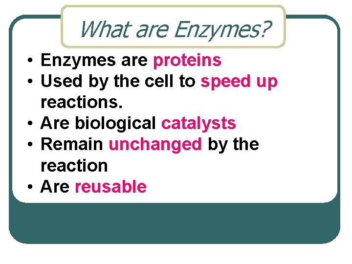 What are Enzymes? • Enzymes are proteins • Used by the cell to speed