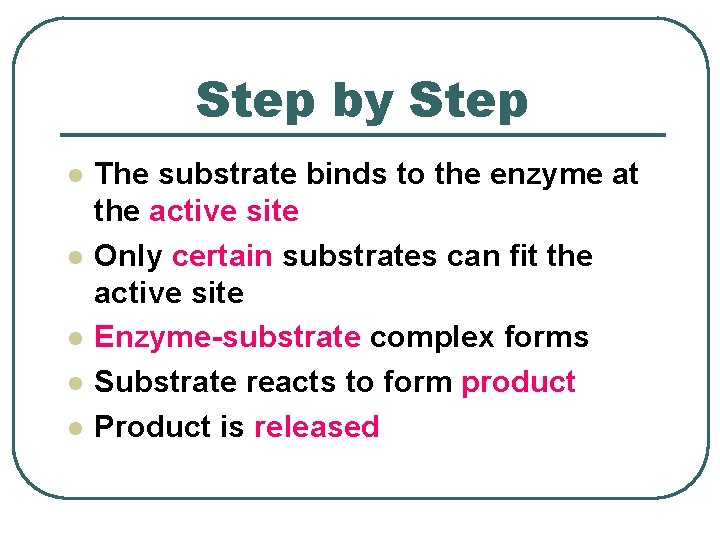 Step by Step l l l The substrate binds to the enzyme at the