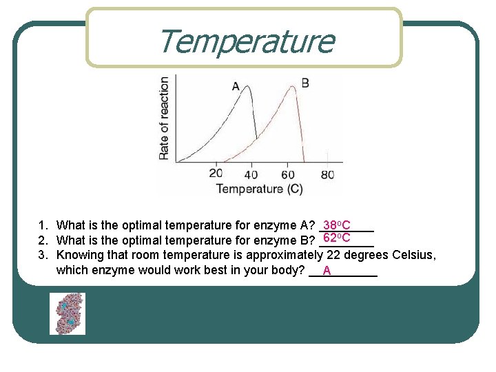 Temperature 1. What is the optimal temperature for enzyme A? ____ 38 o. C