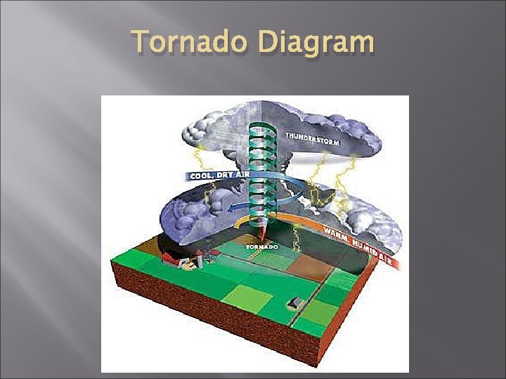 Tornado Diagram 