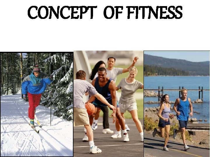CONCEPT OF FITNESS 
