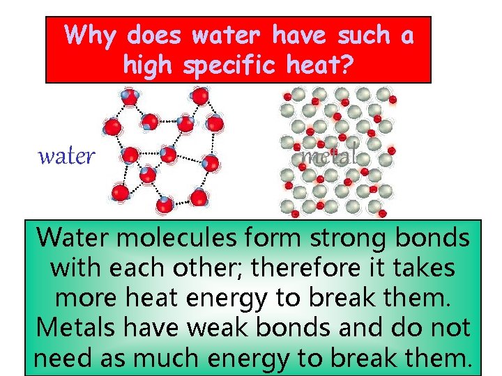 Why does water have such a high specific heat? water metal Water molecules form