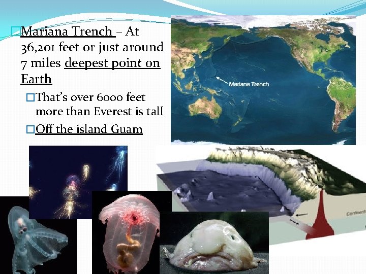 �Mariana Trench – At 36, 201 feet or just around 7 miles deepest point