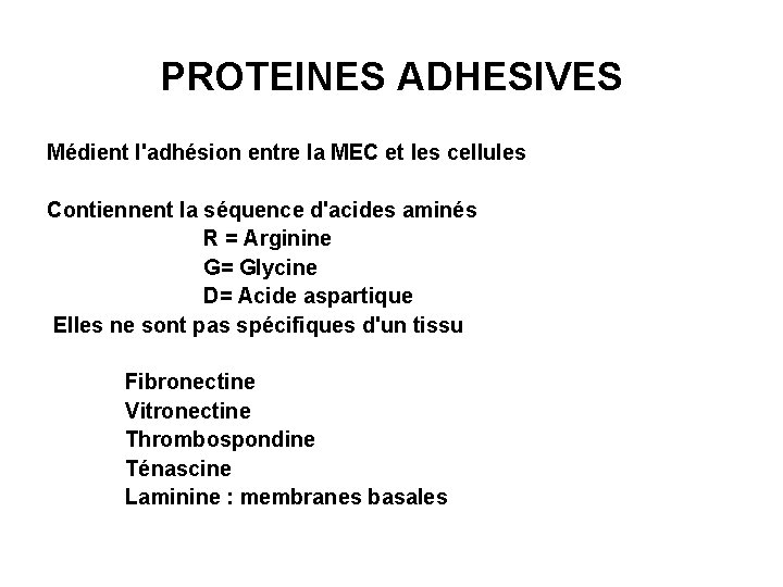 PROTEINES ADHESIVES Médient l'adhésion entre la MEC et les cellules Contiennent la séquence d'acides