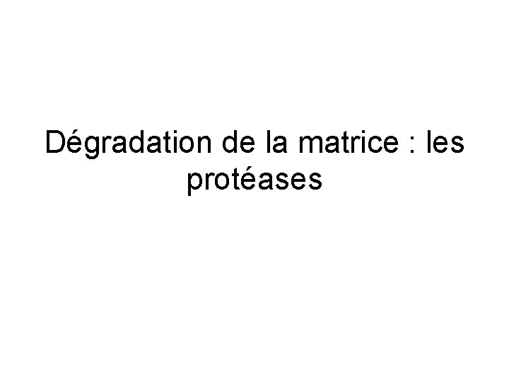 Dégradation de la matrice : les protéases 