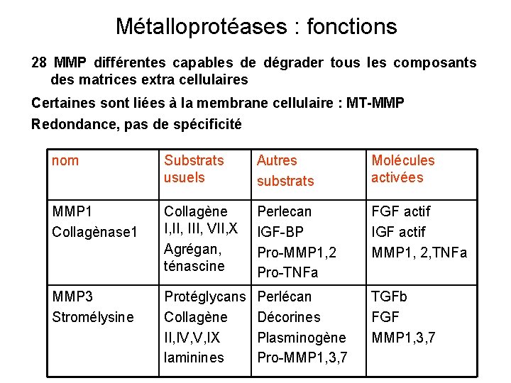 Métalloprotéases : fonctions 28 MMP différentes capables de dégrader tous les composants des matrices