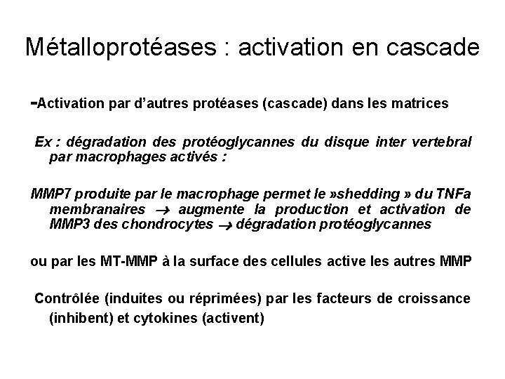 Métalloprotéases : activation en cascade -Activation par d’autres protéases (cascade) dans les matrices Ex