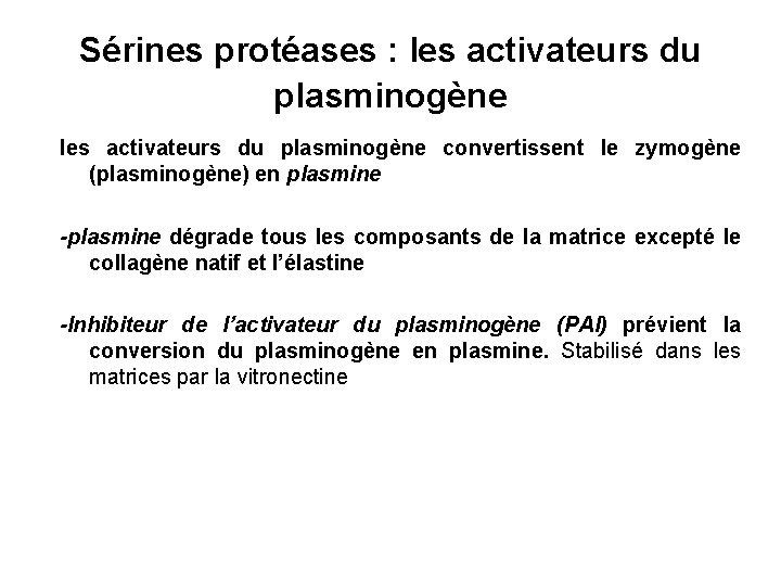 Sérines protéases : les activateurs du plasminogène convertissent le zymogène (plasminogène) en plasmine -plasmine