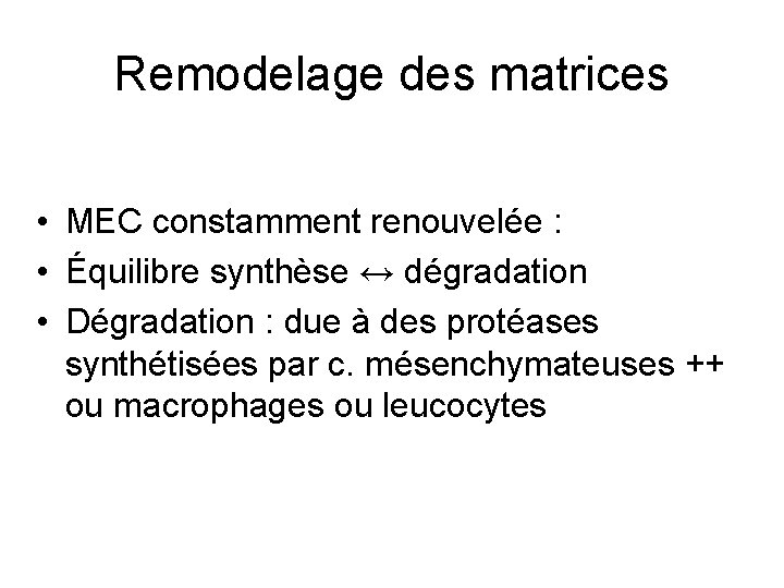 Remodelage des matrices • MEC constamment renouvelée : • Équilibre synthèse ↔ dégradation •