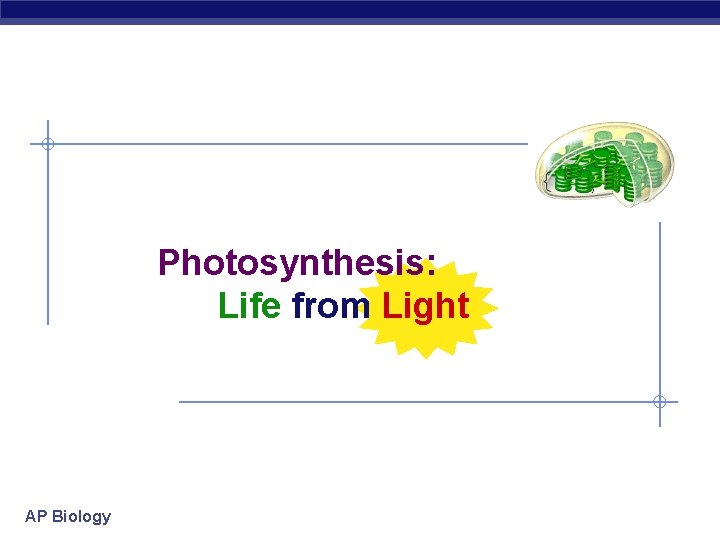 Photosynthesis: Life from Light AP Biology 