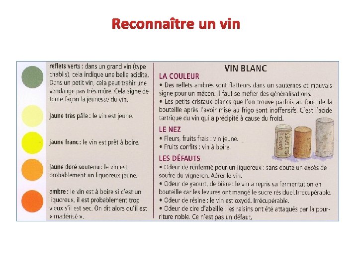 Reconnaître un vin 