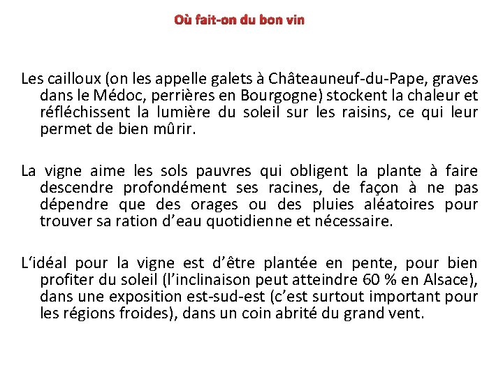 Où fait-on du bon vin Les cailloux (on les appelle galets à Châteauneuf-du-Pape, graves