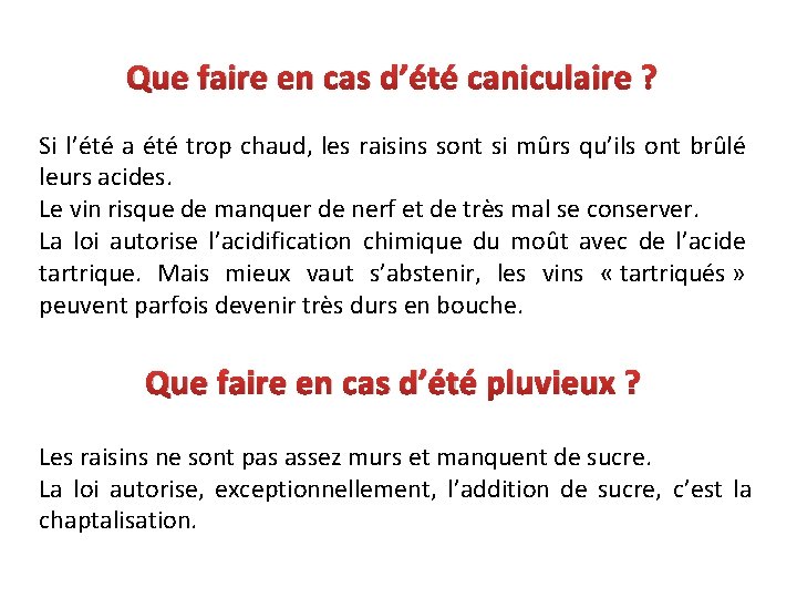 Que faire en cas d’été caniculaire ? Si l’été a été trop chaud, les