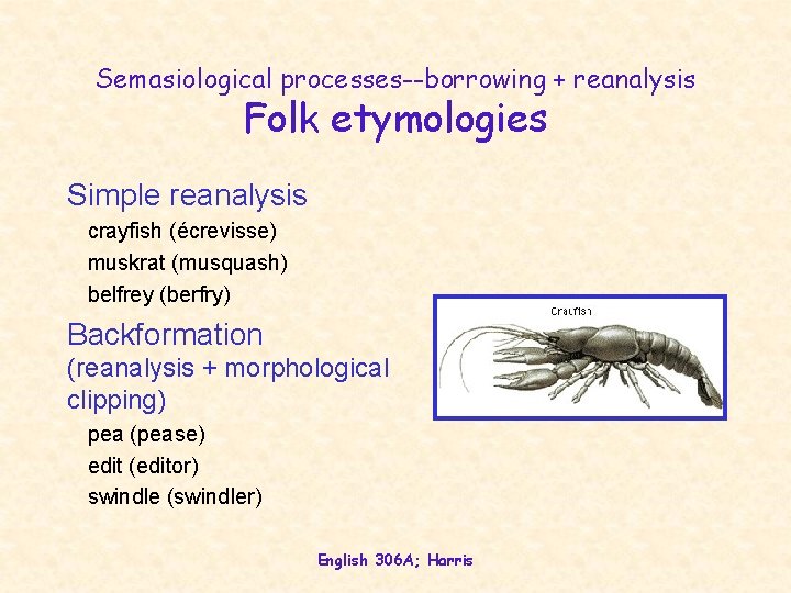 Semasiological processes--borrowing + reanalysis Folk etymologies Simple reanalysis crayfish (écrevisse) muskrat (musquash) belfrey (berfry)
