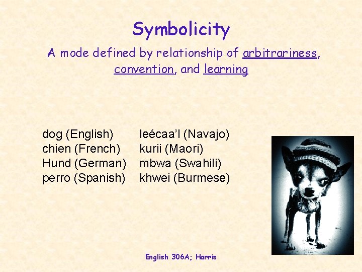 Symbolicity A mode defined by relationship of arbitrariness, convention, and learning dog (English) chien