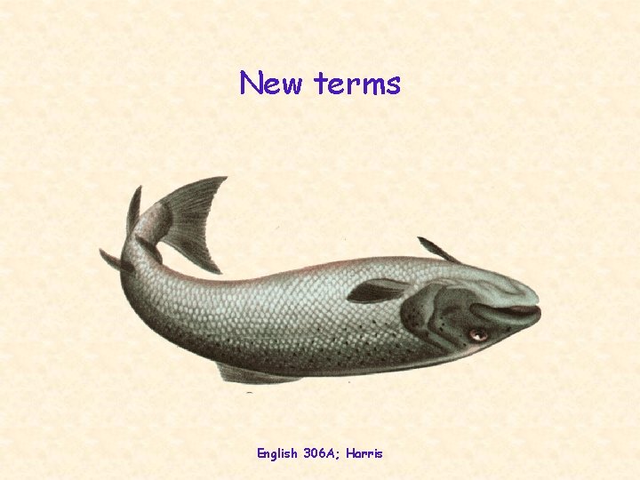 New terms English 306 A; Harris 