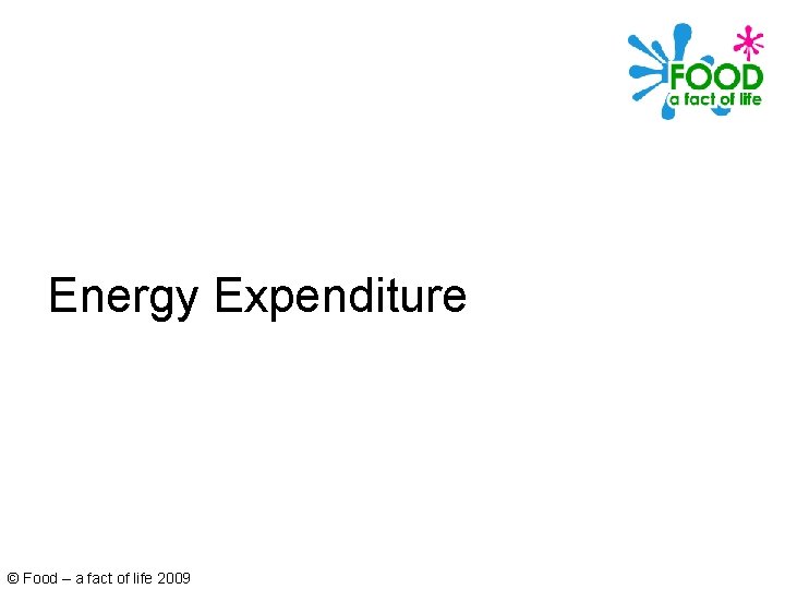 Energy Expenditure © Food – a fact of life 2009 