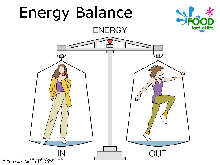 Energy Balance © Food – a fact of life 2009 