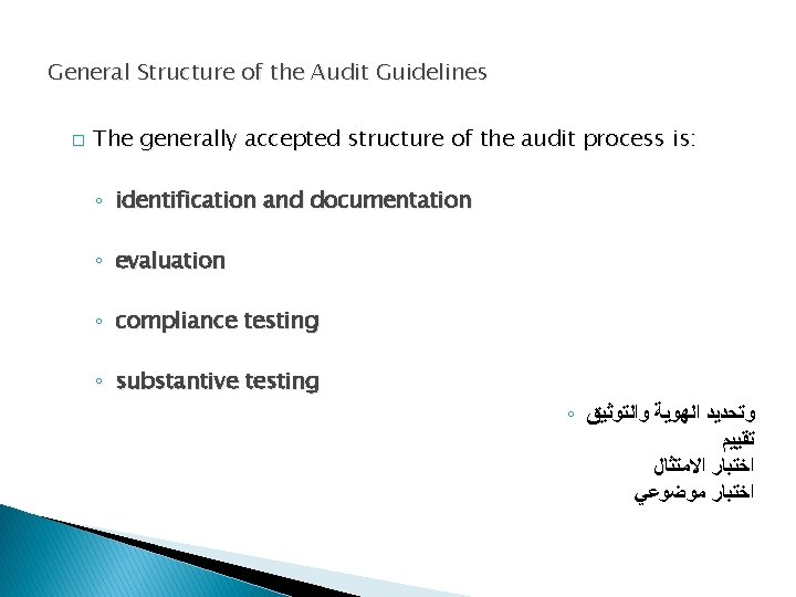 General Structure of the Audit Guidelines � The generally accepted structure of the audit