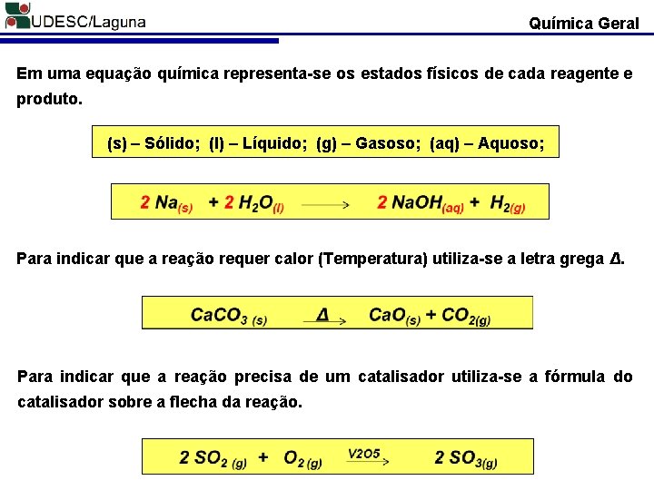 Química Geral Em uma equação química representa-se os estados físicos de cada reagente e