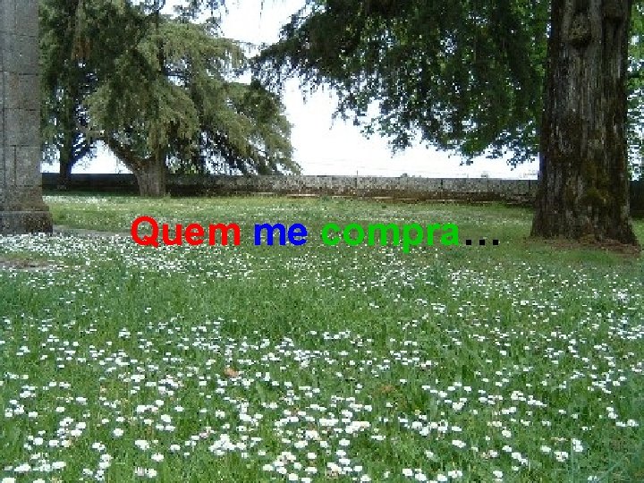 Quem me compra… 