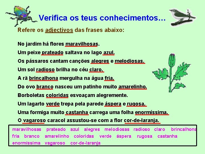 Verifica os teus conhecimentos… Refere os adjectivos das frases abaixo: No jardim há flores