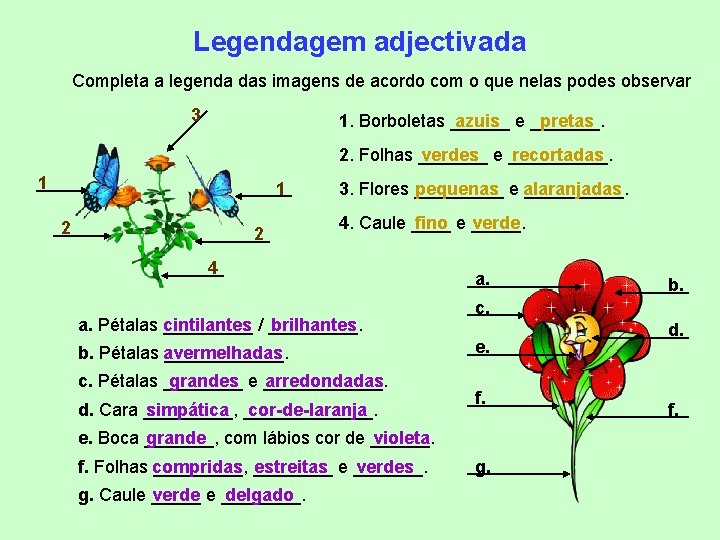 Legendagem adjectivada Completa a legenda das imagens de acordo com o que nelas podes