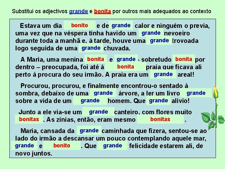 Substitui os adjectivos grande e bonita por outros mais adequados ao contexto bonito e