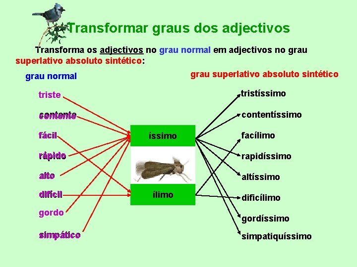 Transformar graus dos adjectivos Transforma os adjectivos no grau normal em adjectivos no grau