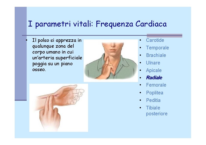 I parametri vitali: Frequenza Cardiaca • Il polso si apprezza in qualunque zona del
