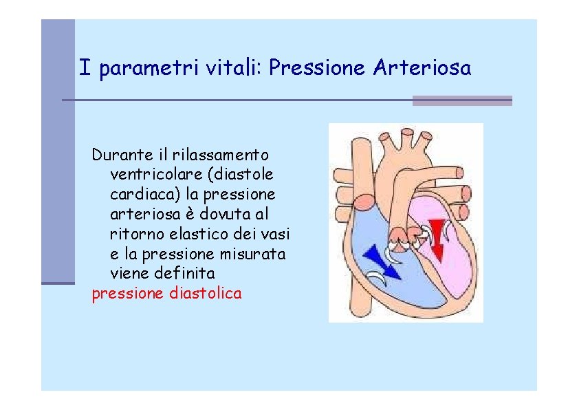I parametri vitali: Pressione Arteriosa Durante il rilassamento ventricolare (diastole cardiaca) la pressione arteriosa