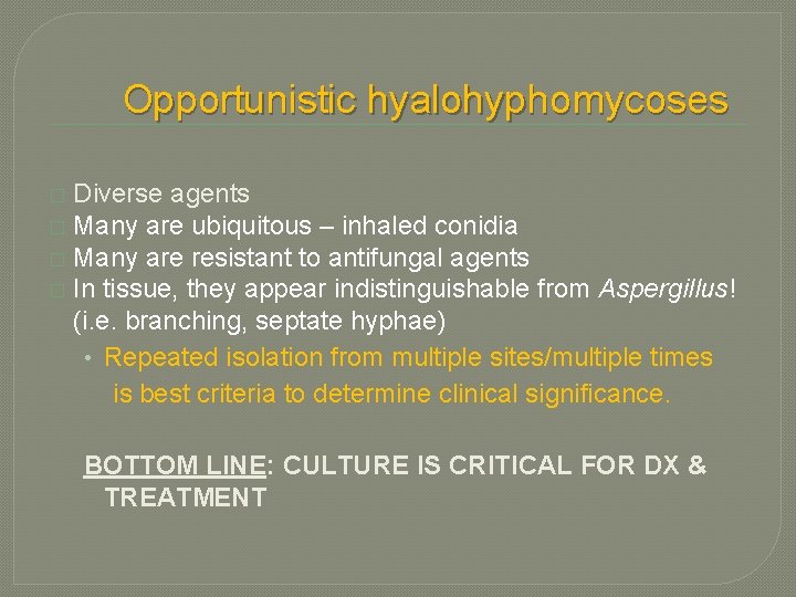 Opportunistic hyalohyphomycoses Diverse agents � Many are ubiquitous – inhaled conidia � Many are Opportunistic hyalohyphomycoses Diverse agents � Many are ubiquitous – inhaled conidia � Many are