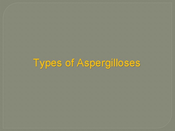 Types of Aspergilloses Types of Aspergilloses