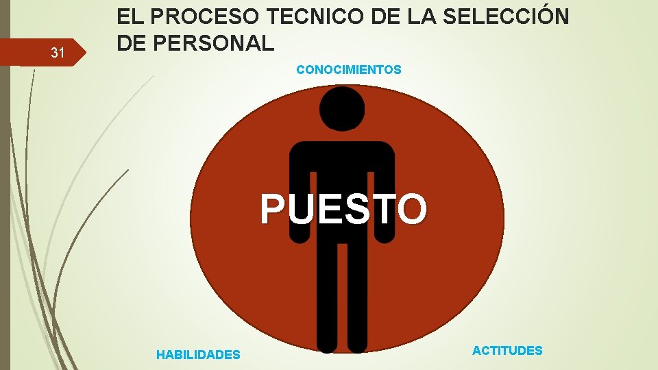 31 EL PROCESO TECNICO DE LA SELECCIÓN DE PERSONAL CONOCIMIENTOS PUESTO HABILIDADES ACTITUDES 