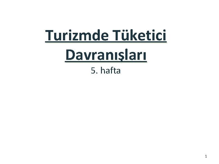 Turizmde Tüketici Davranışları 5. hafta 1 