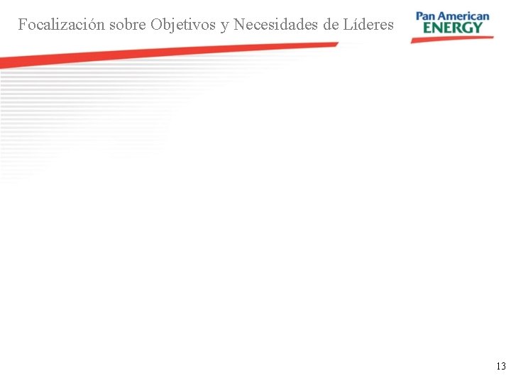 Focalización sobre Objetivos y Necesidades de Líderes 13 